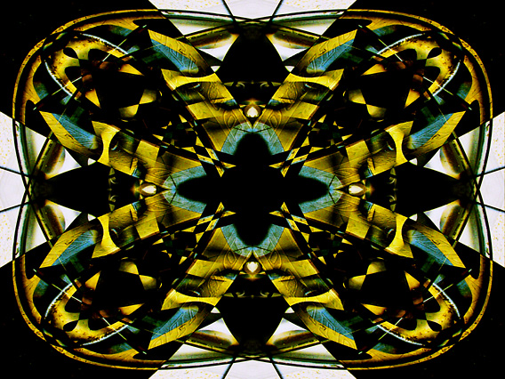 Wheel_IMG_6114-DkLtDf