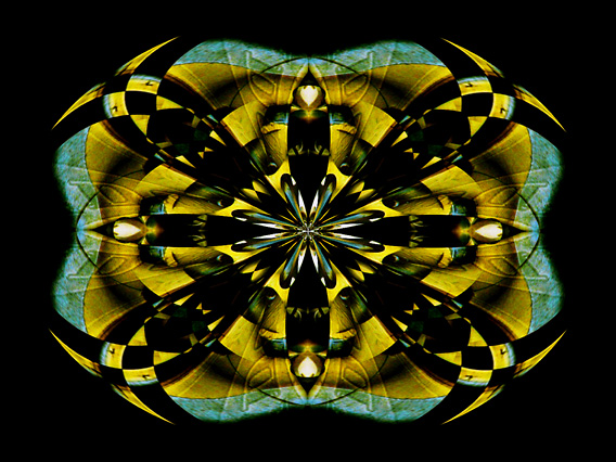 Wheel_IMG_6114-DkLtDf-SRPS