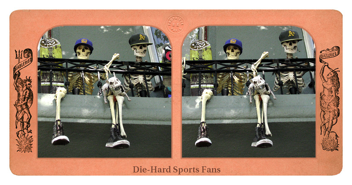 Die-Hard Sports Fans