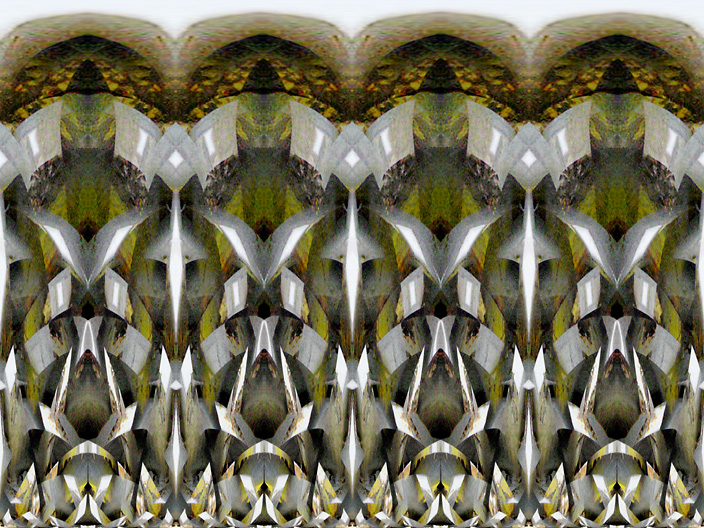 Grate_IMG_7215-Dk2Lt-SpR