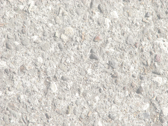Concrete50_IMG_8194-DPC