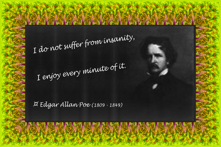 088 Edgar Allan Poe on Insanity