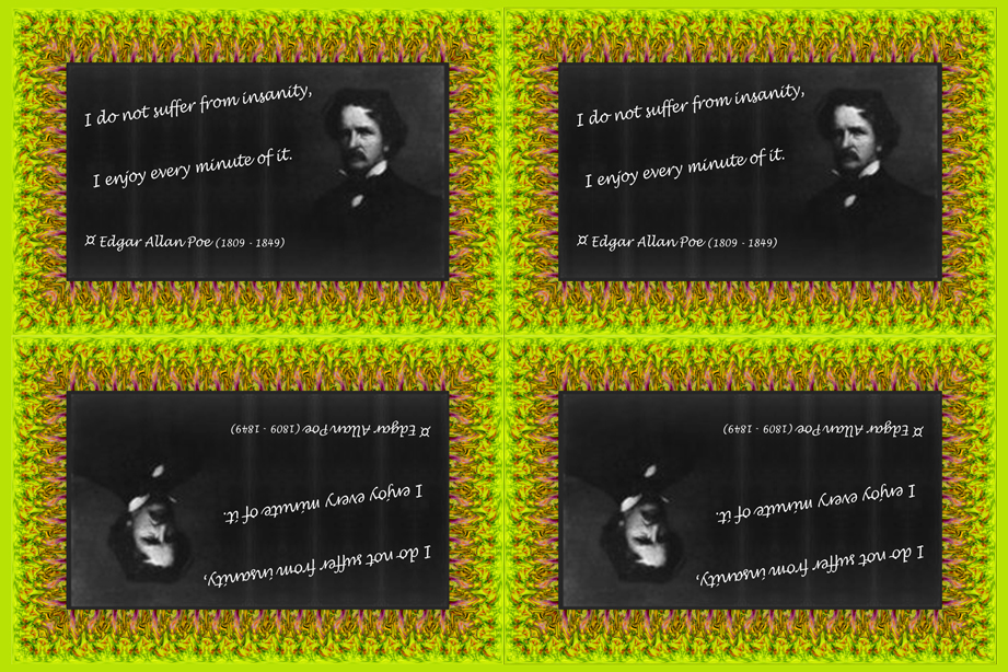 088 Edgar Allan Poe on Insanity (wallet print)