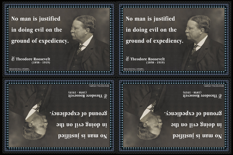 142 Theodore Roosevelt on Evil (wallet print)