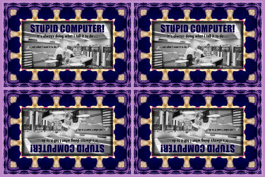 010 Stupid Computer! (wallet print)
