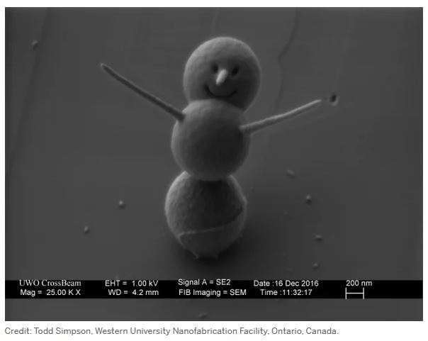 MicroSnowman-SS