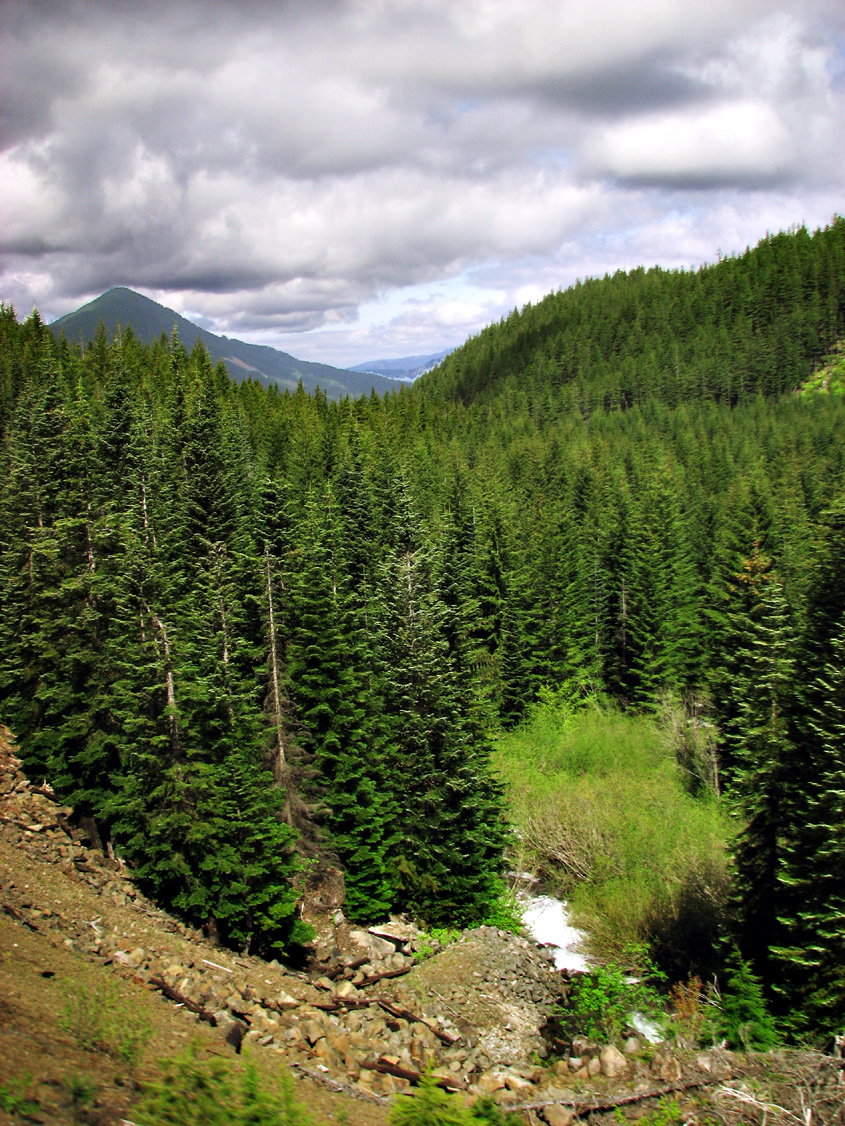 Valley_IMG_1637-DPC8