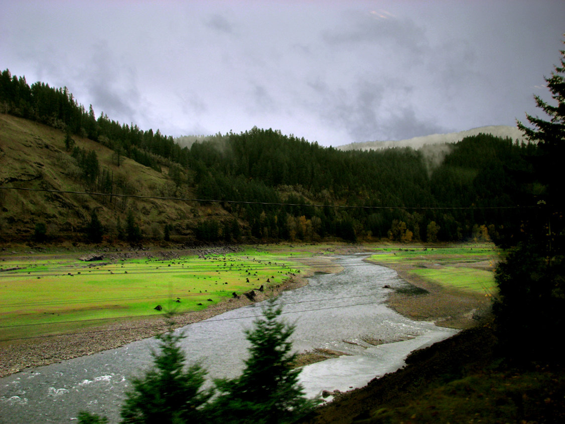 Stream_IMG_5454-DPC