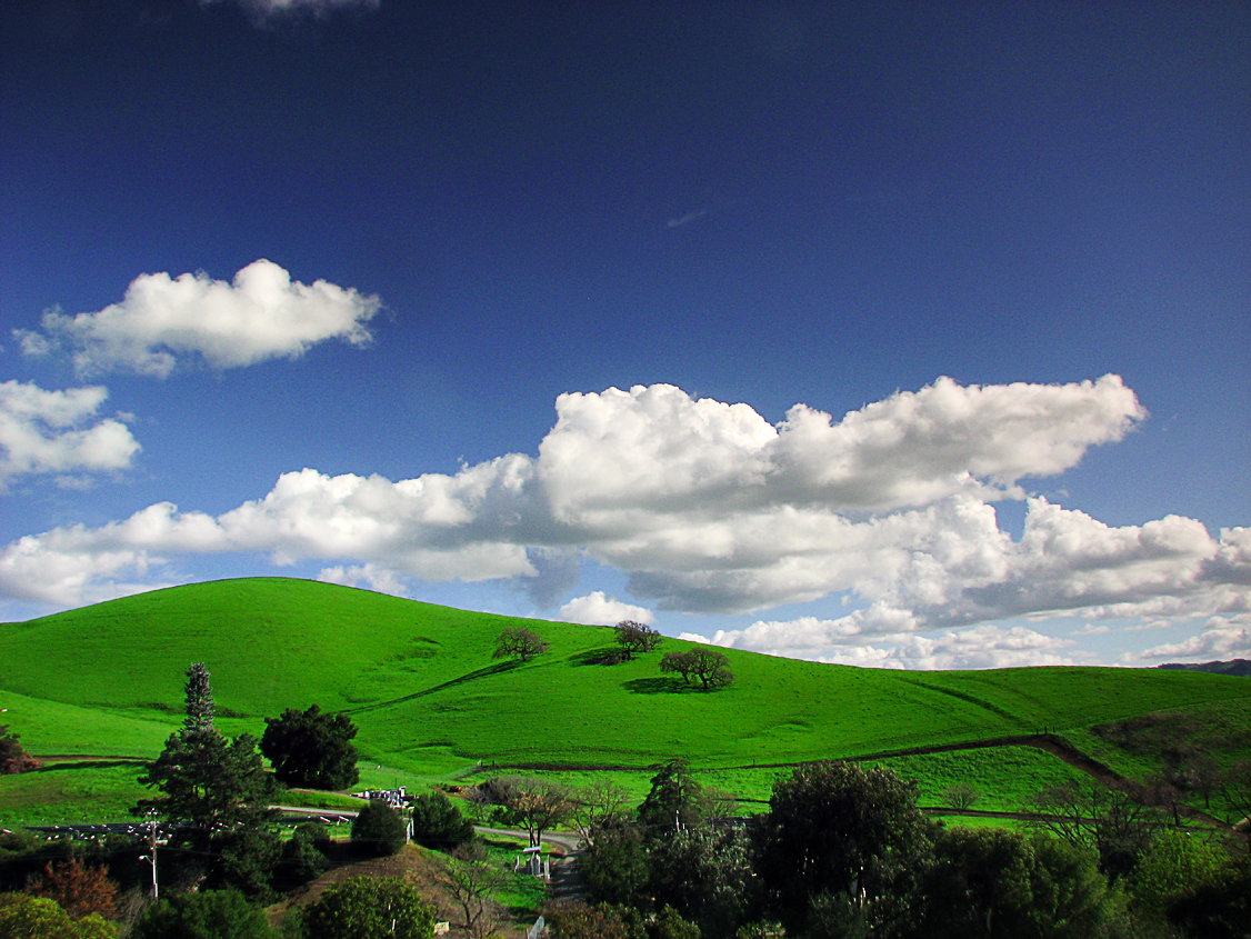 Lime Ridge Open Space