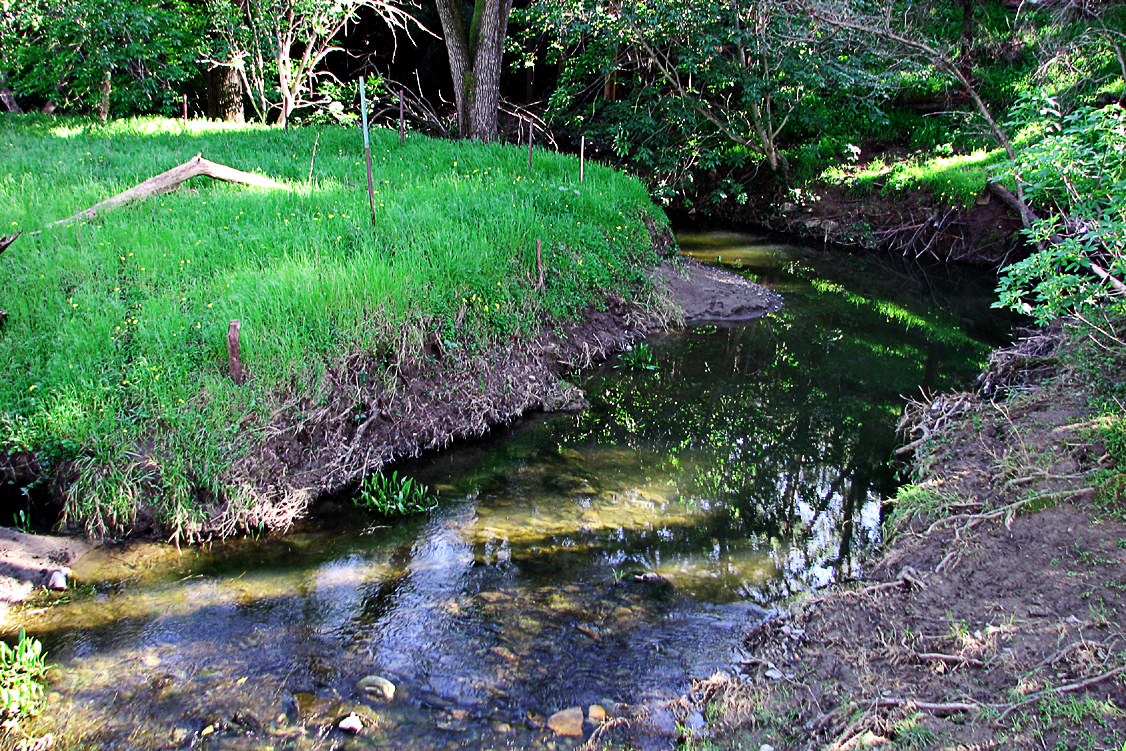 Creek_IMG_2609c-DPC