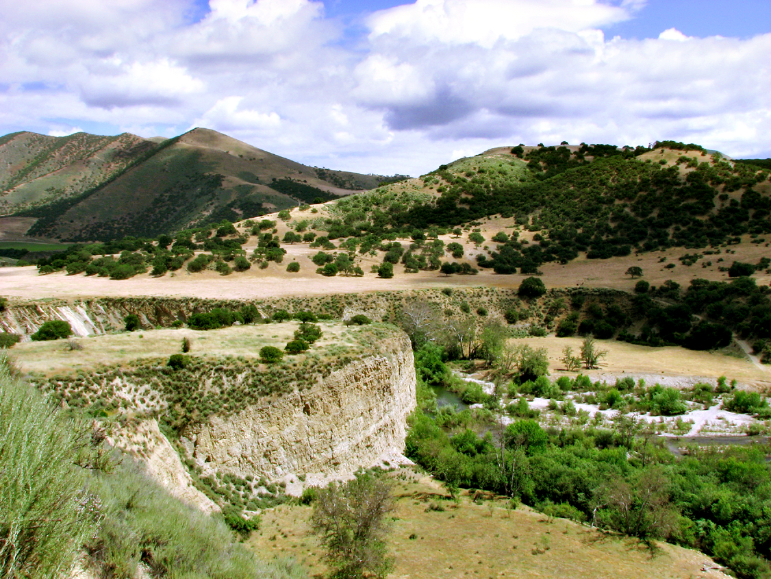 Bluff_IMG_0257-DPC