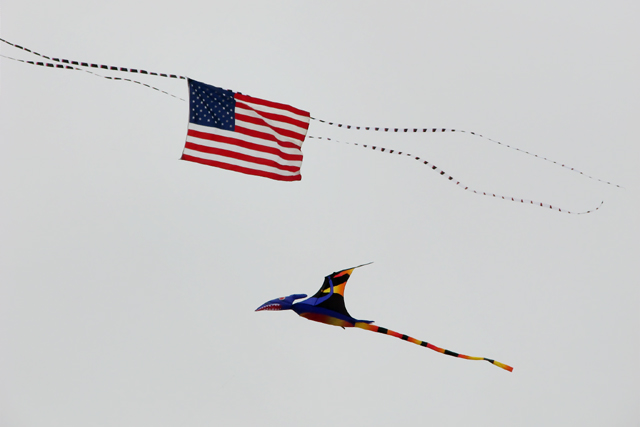 PteraFlag_IMG_1415-DPC.jpg