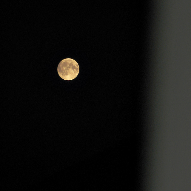 MoonRoof_IMG_2847-DPC9.jpg
