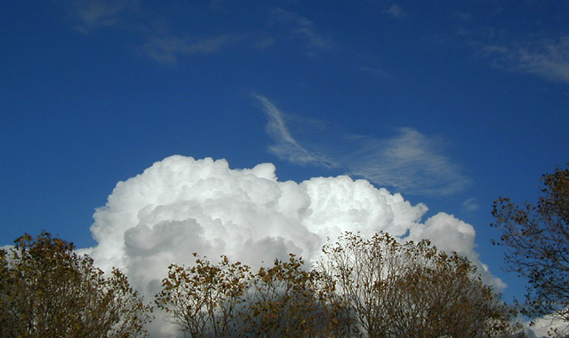 Clouds and Trees