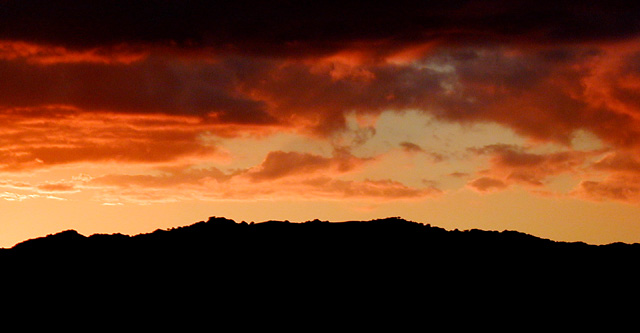 Orange Sky