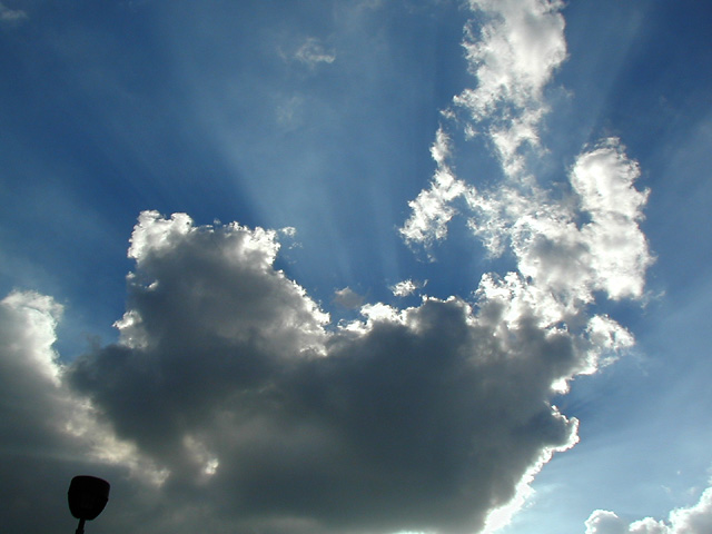 Sun Rays #39
