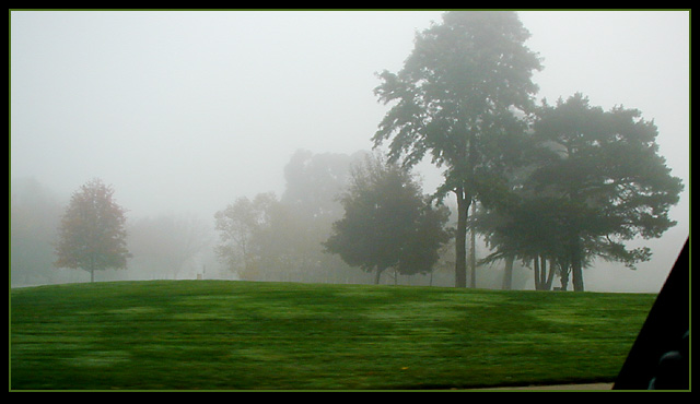 Foggy Park