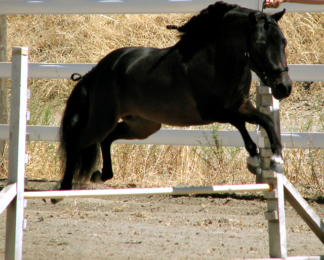 Jump-CU_IMG_2657-DPC6.jpg
