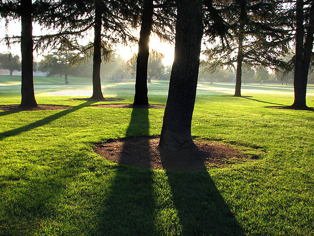Morning in the Park