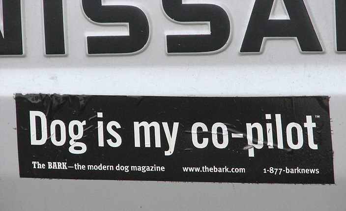 DOGbs_IMG_0816-DPC.jpg
