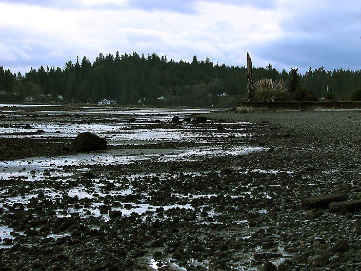 Rocky Beach, LowTide