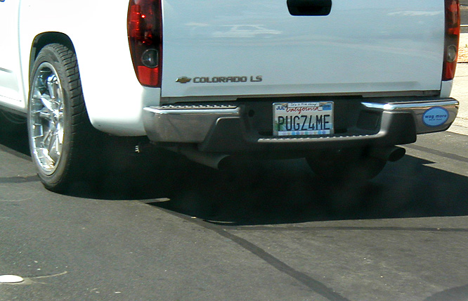 PugPlate_P9090028-DPC.jpg