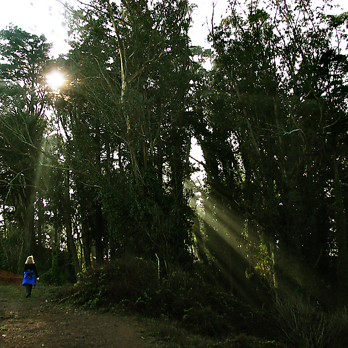 Sunbeams on Mt. Davidson