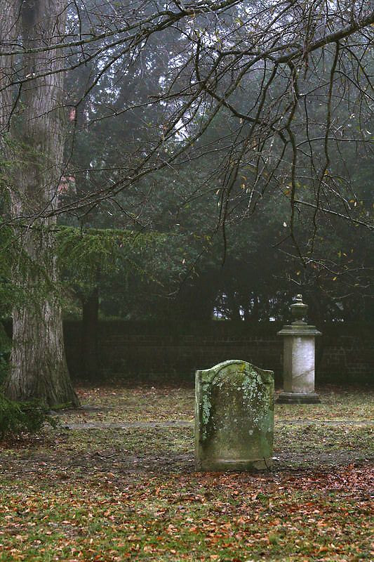 Foggy_by_vawendy_764056-BR7.jpg