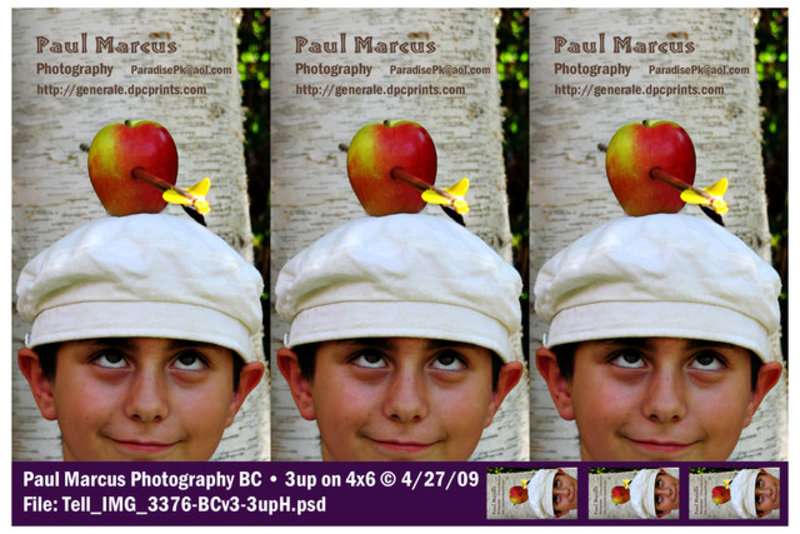 Business Cards - 3up