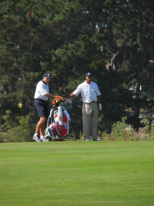 A Tiger In The Rough