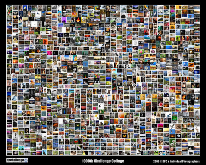 DPC's 1000th Challenge Collage_8x10