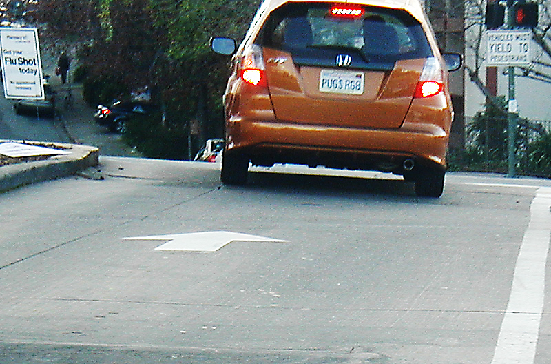 Pugs R Great Plate
