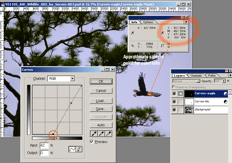 951105_Eagle-RGBcrv-SS