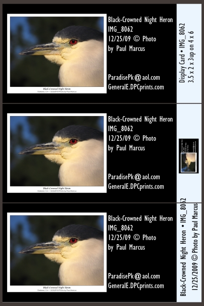 Heron_IMG_8062v_BC_3up-DPC