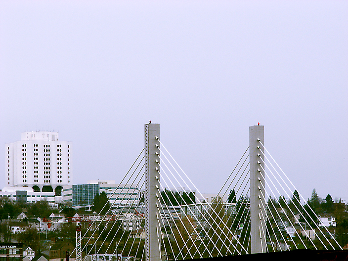 CSBridge_IMG_6484-DPC