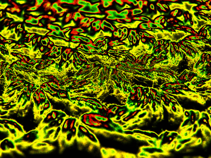 TopoHat_IMG_7951-DPC-gld
