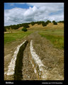 Millrace