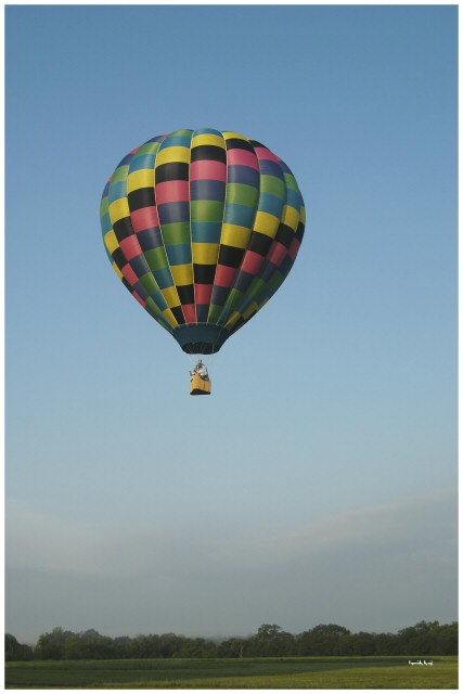 Soar