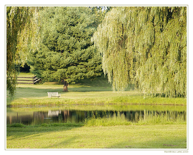 A Peaceful Place
