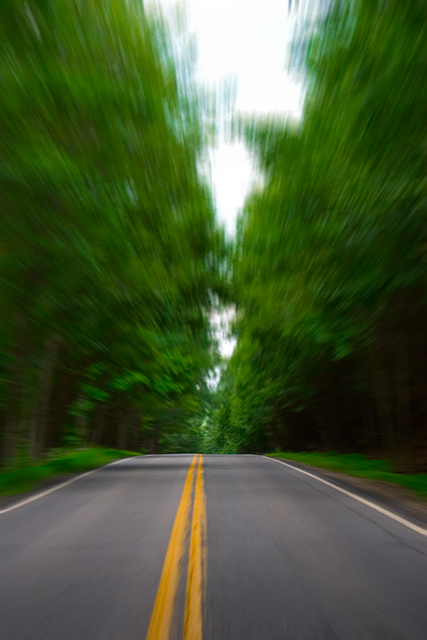 Road_3802.jpg