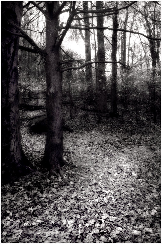 Secret Path