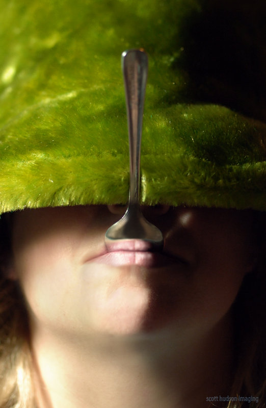 Tastes Like Chicken magazine ad.jpg