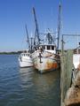 Shrimp Boats
