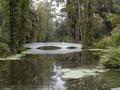 Magnolia Plantation Bridge
