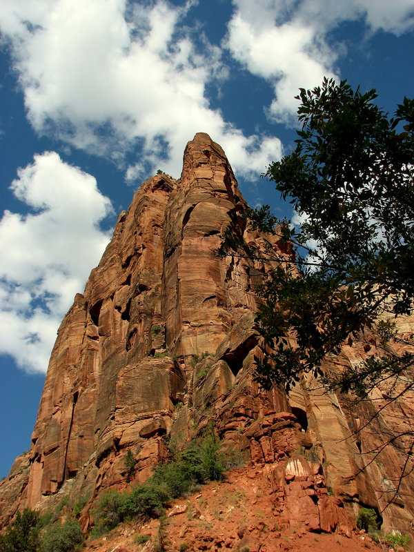 Zion National Park