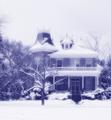 blue victorian
