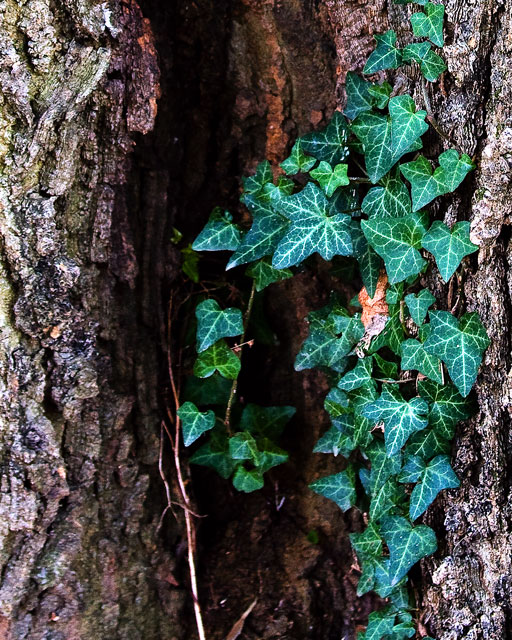 Texture 7