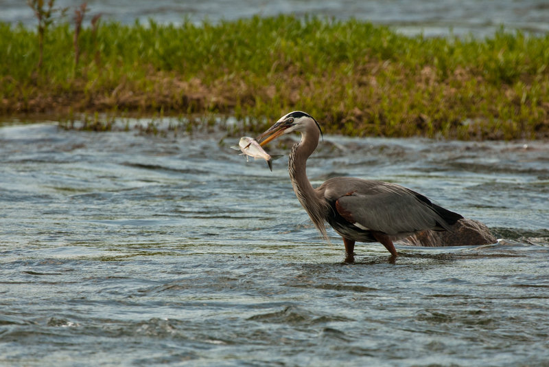 20100425-IMG_9201