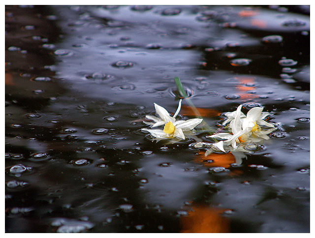 Offering