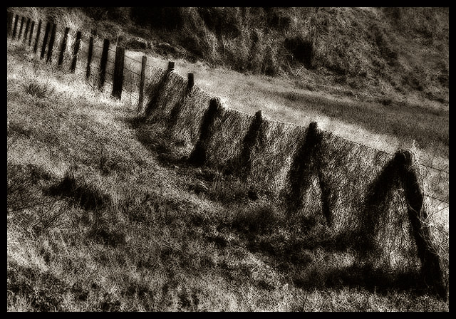 Going Up The Country